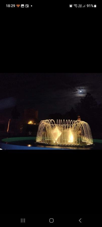 Turnu MăgureleCasa Cojocaru住宿加早餐旅馆 外观 照片