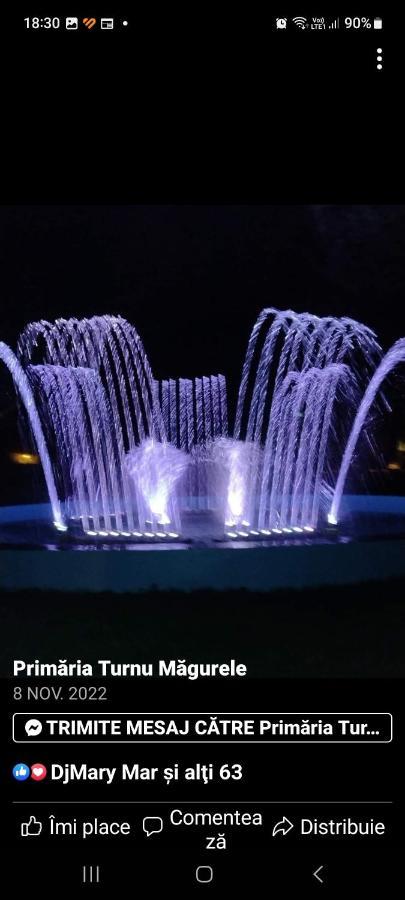 Turnu MăgureleCasa Cojocaru住宿加早餐旅馆 外观 照片